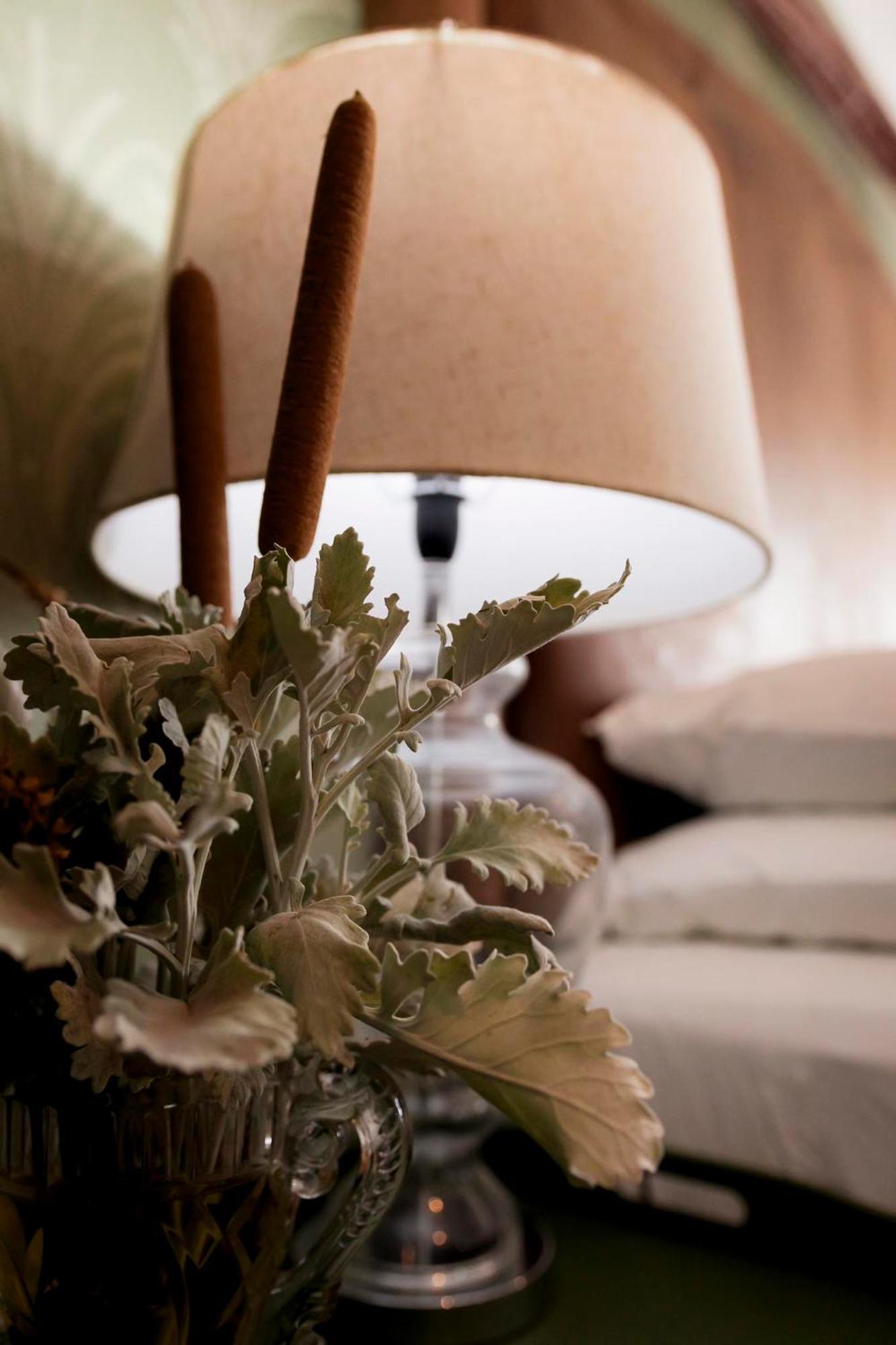 Sweetfontein Boutique Farm Lodge Britstown ภายนอก รูปภาพ